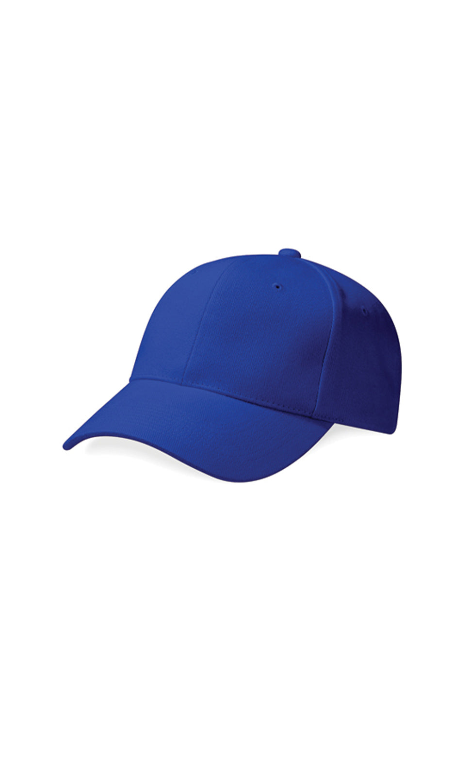 Pro-Style Heavy Brushed Cotton Cap