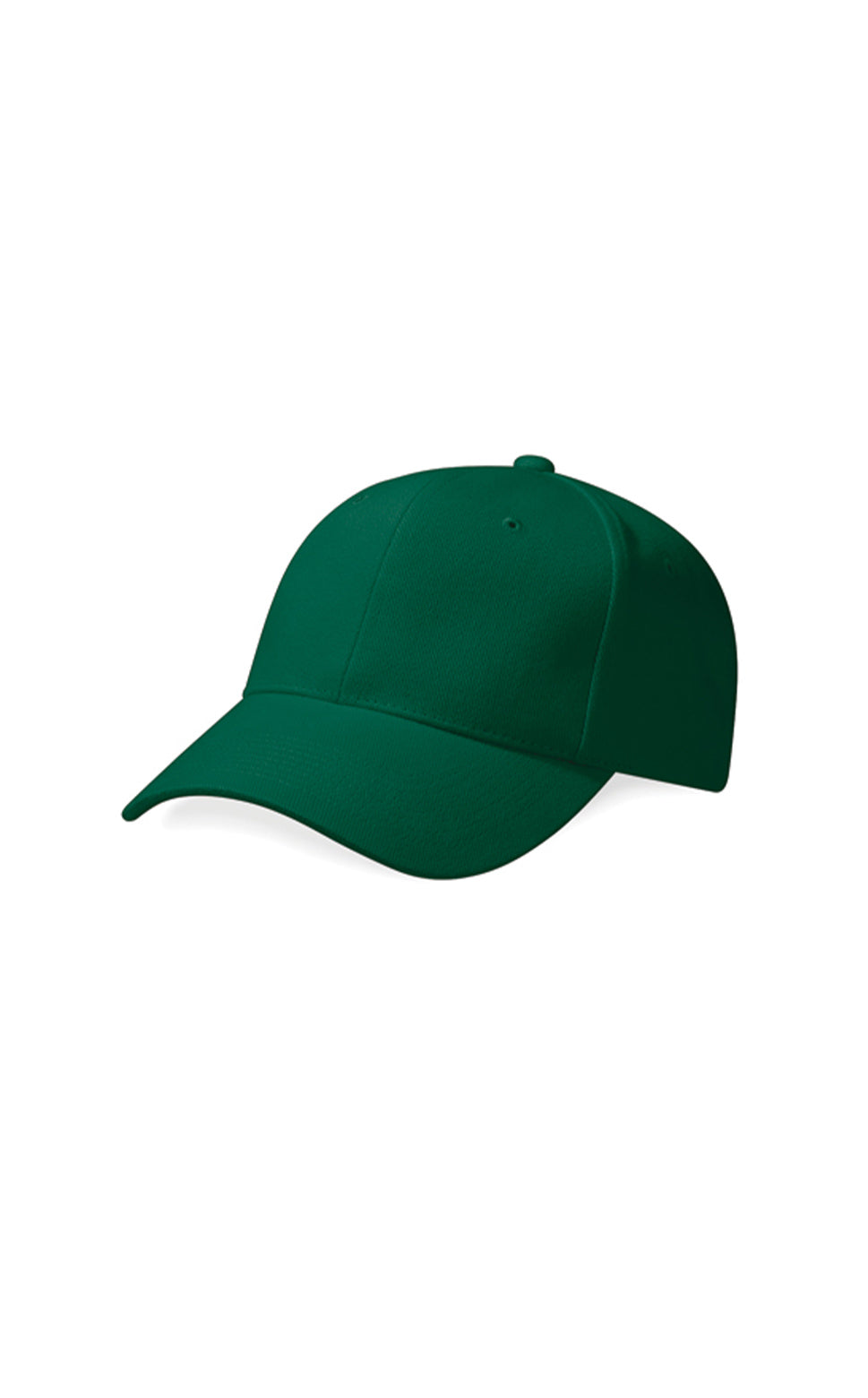 Pro-Style Heavy Brushed Cotton Cap