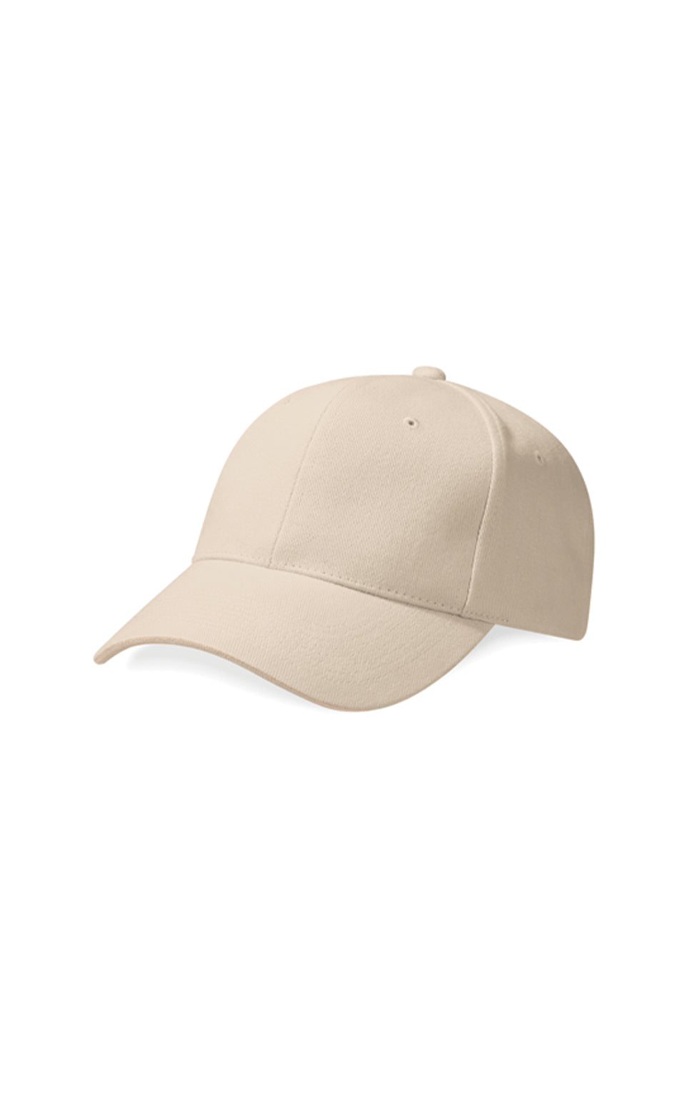 Pro-Style Heavy Brushed Cotton Cap