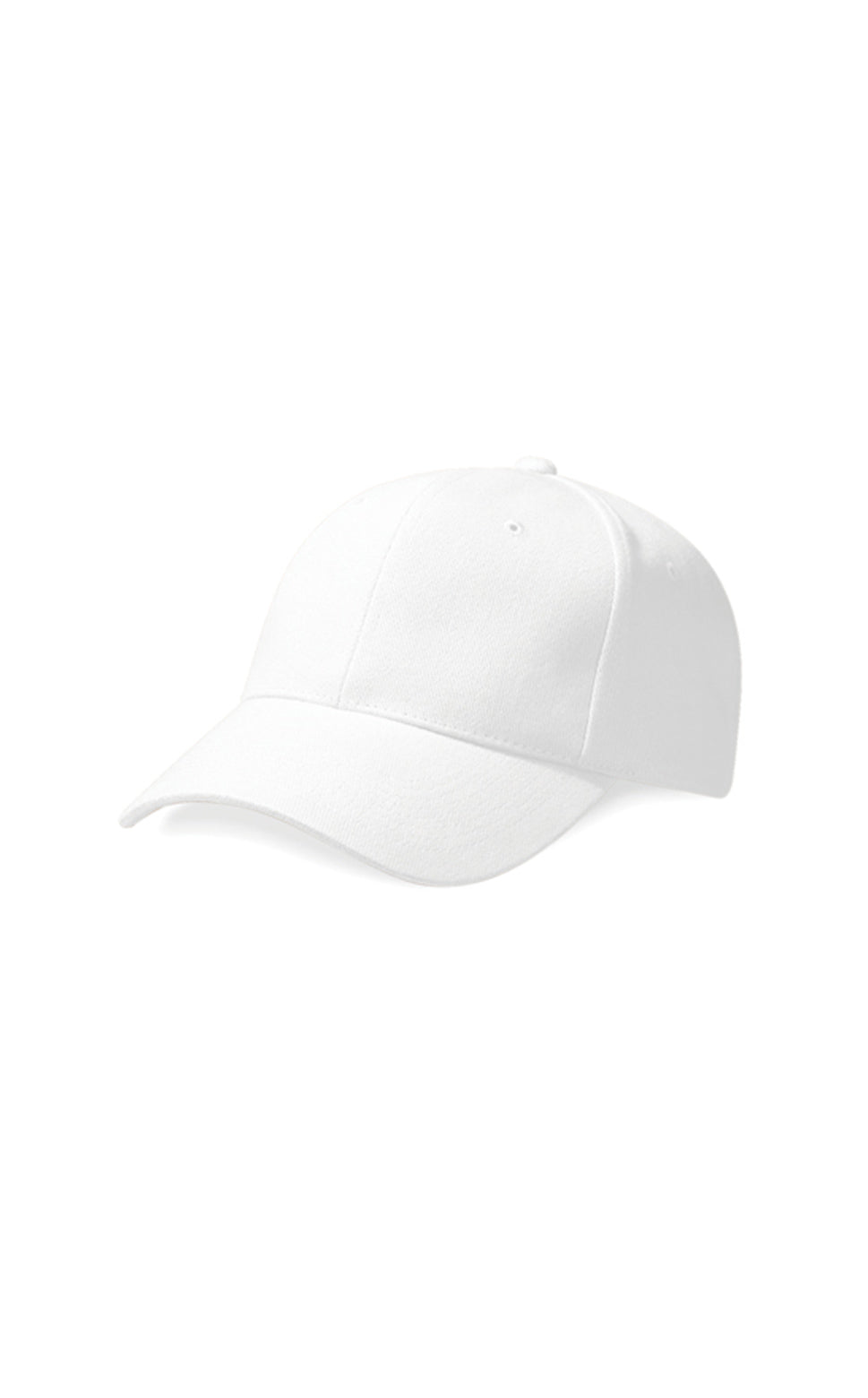 Pro-Style Heavy Brushed Cotton Cap