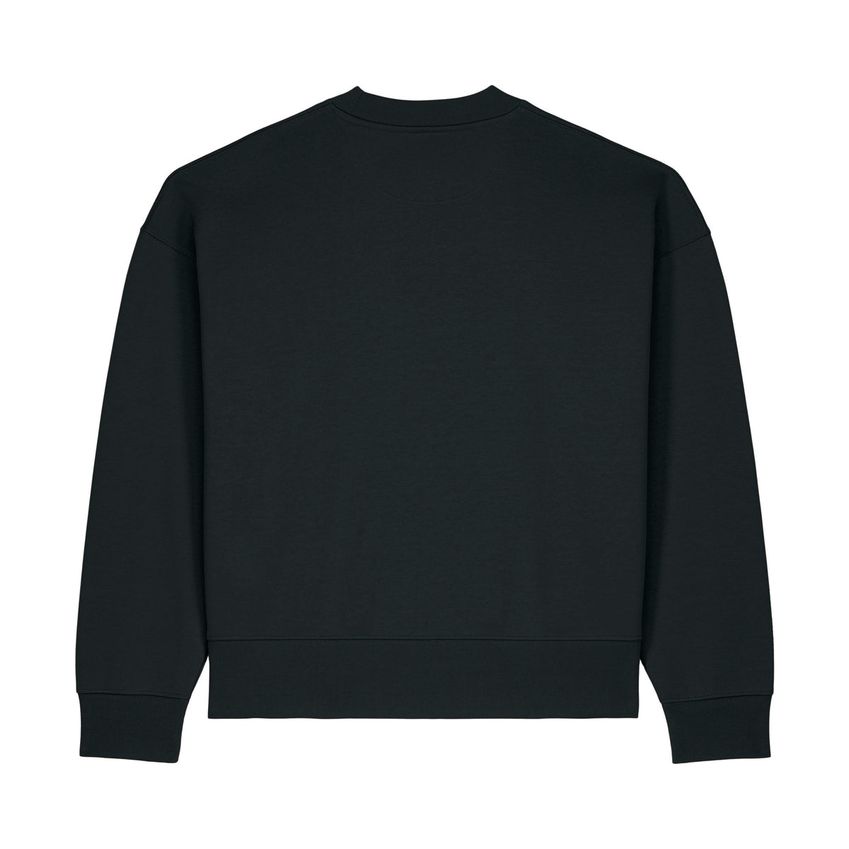 Sweatshirt Ryler in Black – Rückansicht