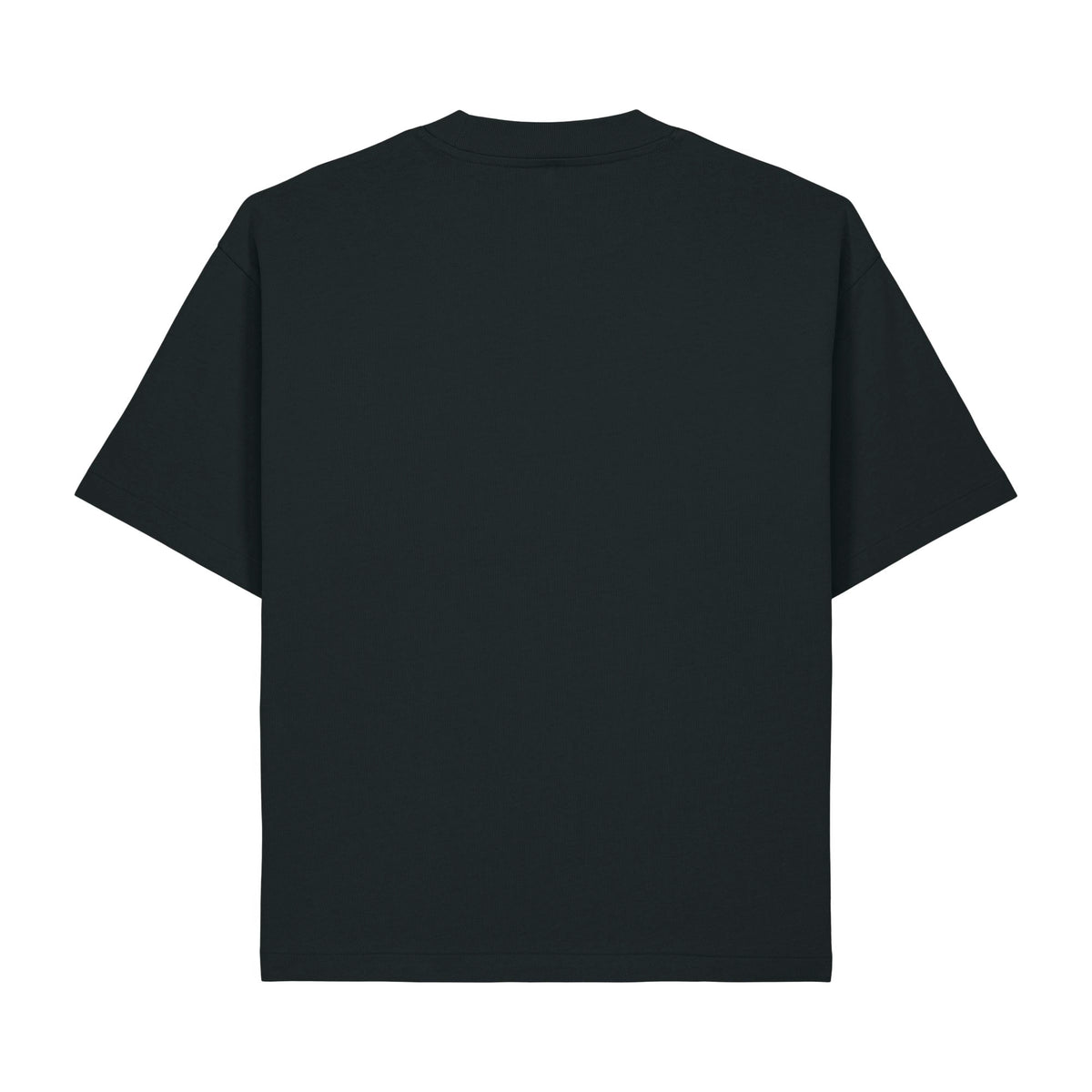 T-Shirt Asher in Black – Rückansicht