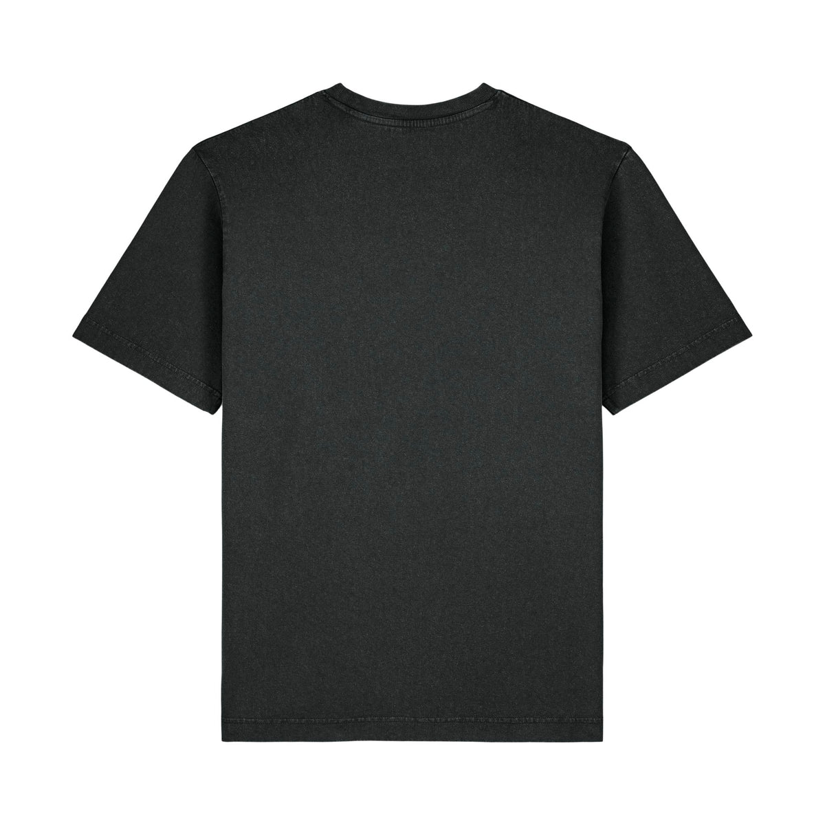 T-Shirt Freestyler Vintage in G. Dyed Black Rock – Rückansicht