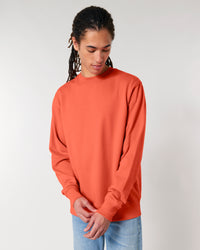 Sweatshirt Changer 2.0-Fiesta – Bild 8